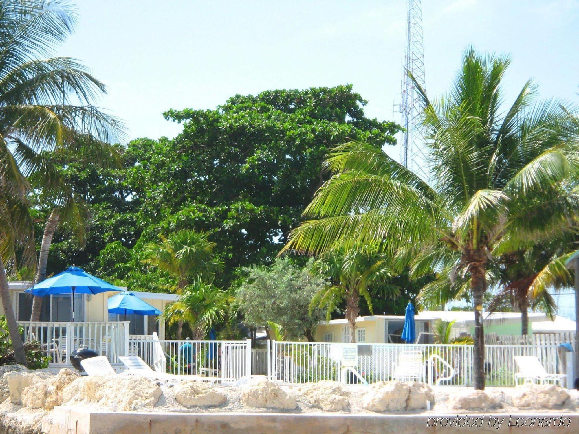 Bonefish Resort Motel Marathon Ngoại thất bức ảnh